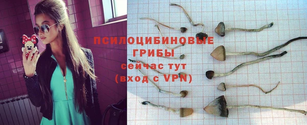 СК Алексин