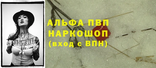 СК Алексин