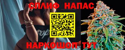 СК Краснодар