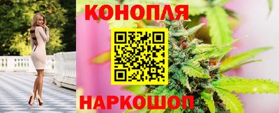СК Краснодар