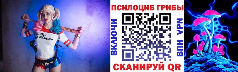 где можно купить   блэк спрут ТОР  Галлюциногенные грибы MAGIC MUSHROOMS  Карпинск 