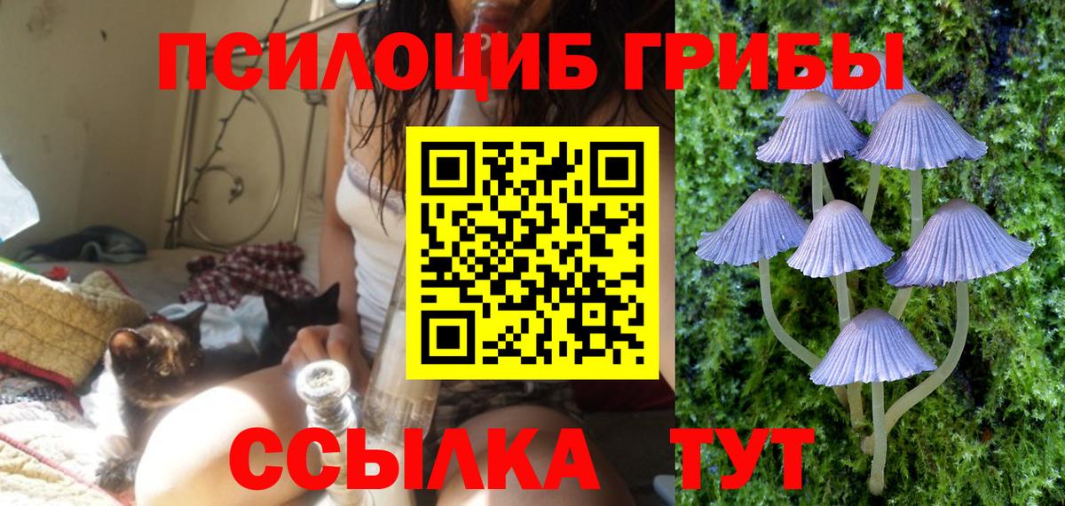 Карпинск  Галлюциногенные грибы Psilocybe  Вход с VPN  Псилоцибиновые грибы Magic Shrooms 